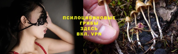 молекула духа Абинск