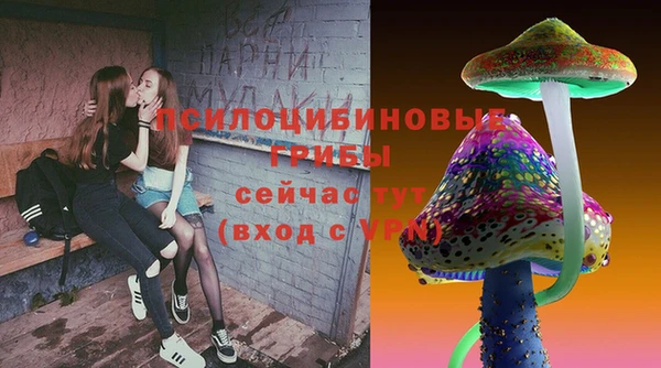 молекула духа Алексеевка
