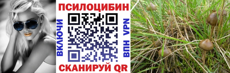 mega ТОР  Советский  Галлюциногенные грибы ЛСД 